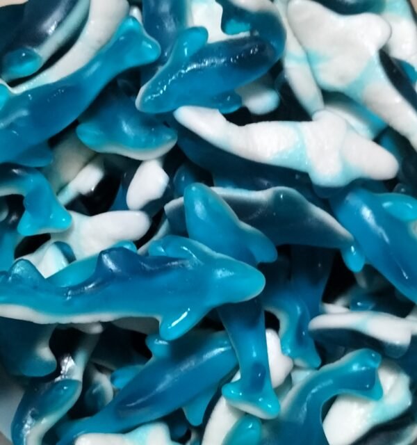 Requin